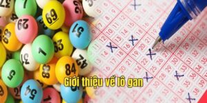 Giải Thích Về Lô Gan, Phương Pháp Nhận Biết Cực Chuẩn